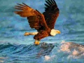 Játék Animals Jigsaw Puzzle Eagle