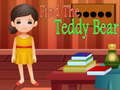 Játék Find the Teddy Bear