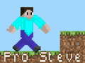 Játék Pro Steve