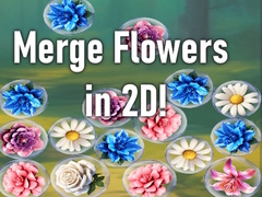 Játék Merge Flowers in 2D!