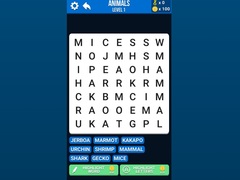 Játék Word Search