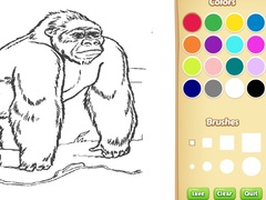 Játék Zoo Animals Coloring Book for Kids