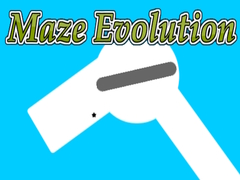 Játék Maze Evolution