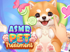 Játék ASMR Pet Treatment