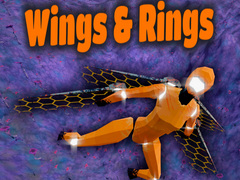 Játék Wings and Rings